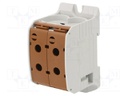 Splice terminal: rail; STB; 95mm2; ways: 1; terminals: 4; brown; TS35