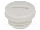 Stopper; M12; IP54; Mat: polyamide; grey; Man.series: V-N-FS