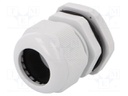 Cable gland; PG29; IP67; Mat: polyamide; grey
