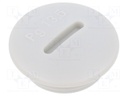 Stopper; PG13,5; IP56; Mat: polyamide; Body: light grey; Thread: PG