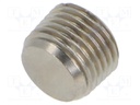 Accessories: screw plug; R 1/8" external; nickel plated brass