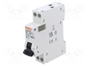 Circuit breaker; 230VAC; Inom: 6A; Poles: 1+N; Charact: C; 6kA; IP20