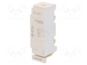 Surge arrestor; RC element; Series: TeSys D Everlink; -25÷55°C