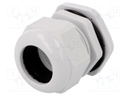 Cable gland; PG36; IP67; Mat: polyamide; grey