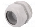Cable gland; M63; IP68; Mat: polyamide; light grey; UL94V-0