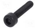 Screw; M3x14; 0.5; Head: cheese head; imbus; HEX 2,5mm; steel