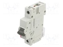 Circuit breaker; 230/400VAC; for DIN rail mounting; Charact: C