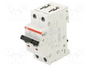 Circuit breaker; 400VAC; 400VDC; Inom: 40A; Poles: 2; Charact: C