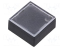 Button; rectangular; Colour: colourless; Mat: ABS; 15.5x15.5mm