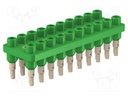 Socket strip; 70VDC; 33VAC; 10A; green; Material: brass; 2mm banana