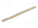 LED tape; white neutral; 2835; LED/m: 120; 10mm; white PCB; IP20