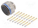 Connector: circular; D38999 series III; plug; female; PIN: 16; 13A