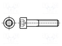 Screw; M5x210; Head: cheese head; hex key; 4mm; steel; none