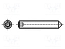 Screw; M1,6x5; DIN: 84; Head: cheese head; slotted; steel; zinc