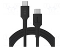 Cable; USB C plug,both sides; 2m; black; PVC; 480bps; 100W