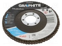 Flap grinding wheels; Ø: 115mm; Øhole: 22.2mm; Granularity: 40