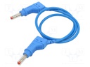 Test lead; 19A; banana plug 4mm,both sides; Len: 0.5m; blue