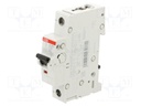 Circuit breaker; 230VAC; 220VDC; Inom: 10A; Poles: 1; Charact: C