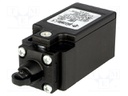Limit switch; polymer roller Ø11mm; NC x2; 10A; max.250VAC; IP67