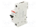 Circuit breaker; 230VAC; 220VDC; Inom: 4A; Poles: 1; Charact: C; 10kA