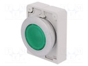 Switch: push-button; Stabl.pos: 2; 30mm; green; M22-FLED,M22-LED