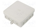 Enclosure: junction box; X: 100mm; Y: 100mm; Z: 40mm; polyetylene