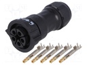 Connector: circular; female; plug; crimped; PIN: 5; 14AWG÷12AWG