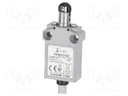 Limit switch; oblong plastic roller Ø12mm; NO + NC; 5A; lead 1m