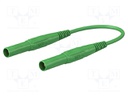 Test lead; 19A; 4mm banana plug-4mm banana plug; insulated