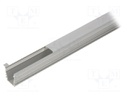 Profiles for LED modules; white; recessed; natural; L: 2m