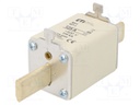 Fuse: fuse; gG; 125A; 500VAC; ceramic,industrial; NH1; WT-NH