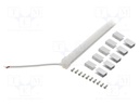 NEON LED tape; white cold; 24V; LED/m: 120; 10mm; IP65; 9.6W/m