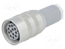 Plug; Connector: DIN 43651; NR; female; PIN: 12; w/o contacts; 5A