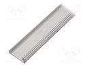 Profile; aluminium; L: 1000mm; X: 41.3mm