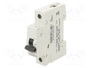 Circuit breaker; 230VAC; Inom: 20A; Poles: 1; Charact: C; 6kA; IP20