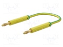 Test lead; 60VDC; 30VAC; 19A; banana plug 4mm,both sides; Len: 1m