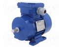 Motor: AC; 3-phase; 0.06kW; 230/400VAC; 1400rpm; 2.6kg; IP54