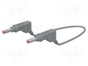 Test lead; 19A; banana plug 4mm,both sides; Len: 1m; grey