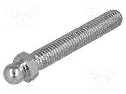 Pin; M10; Plunger mat: steel; Ø: 10mm; Plating: zinc; Spanner: 13mm