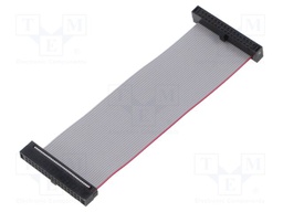 Ribbon cable with IDC connectors; Tape ph: 0.64mm; 76.2mm