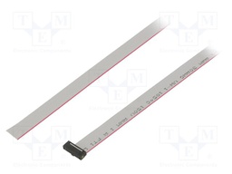 Ribbon cable with IDC connectors; Tape ph: 0.64mm; 1219.2mm