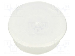 Accessories: stopper; H: 31.8mm; push-in; Flange dia: 36mm; natural