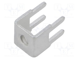 Terminal: screw terminal; THT,screw terminal; silver; straight