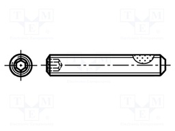 Screw; withTuflok patch; M3x10; 0.5; Head: without head; hex key