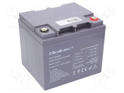 Re-battery: acid-lead; 12V; 45Ah; AGM; maintenance-free