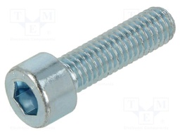 Screw; M6x22; 1; Head: cheese head; hex key; HEX 5mm; steel; zinc