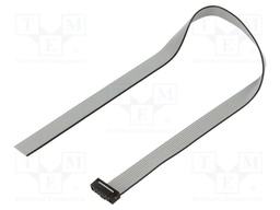 Ribbon cable with IDC connectors; IDC,wires; Tape ph: 1mm; 12"