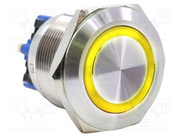Switch: vandal resistant; DPST-NO + DPST-NC; 2A/48VDC; IP65; PV8