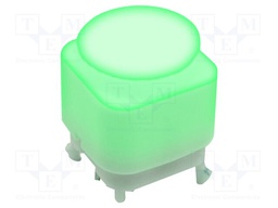 Switch: keypad; SPST; 0.03A/28VDC; LED; green; THT; Leads: for PCB