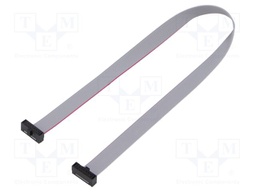 Ribbon cable with IDC connectors; Tape ph: 0.64mm; 254mm